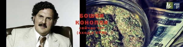 соль ск Новодвинск