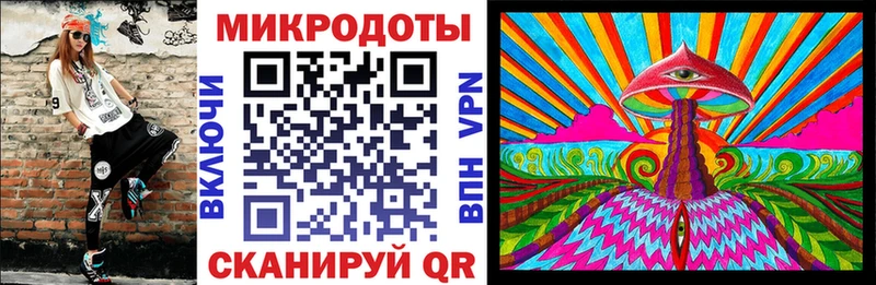 Галлюциногенные грибы Psilocybe  Судак 